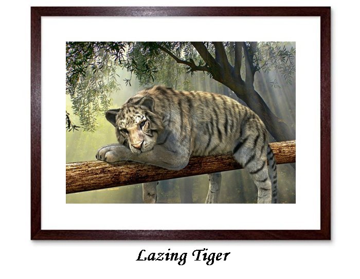 Lazing Tiger